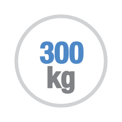 Peso anta massimo 300kg